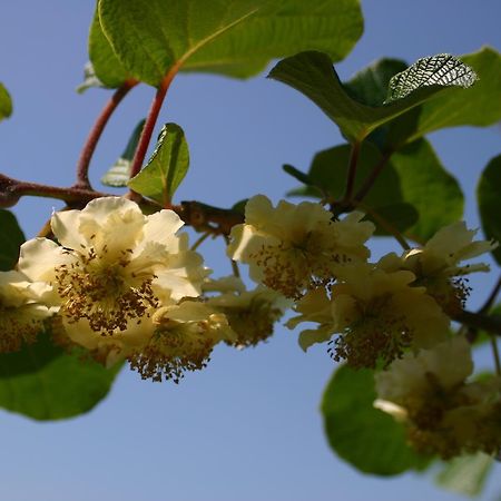 B&B Aan De Burgt Boekel 外观 照片