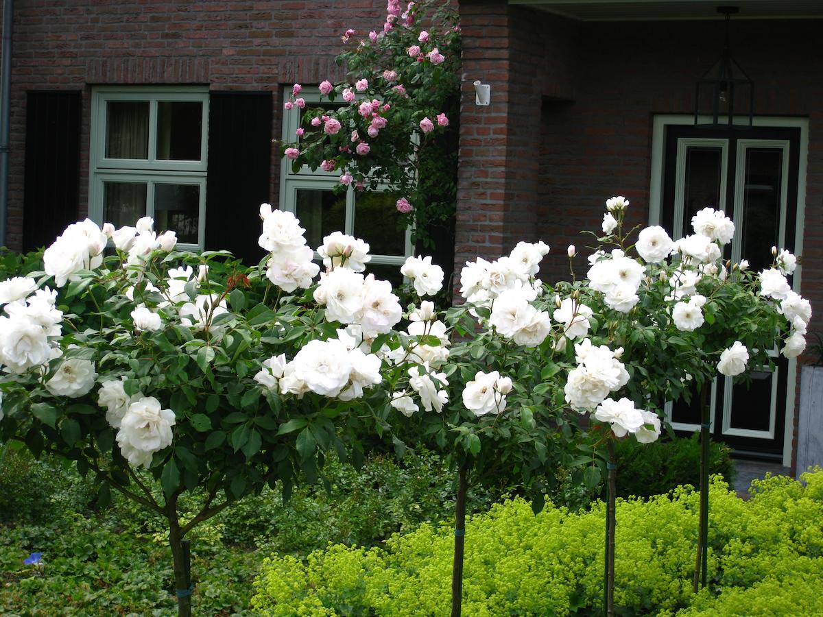 B&B Aan De Burgt Boekel 外观 照片