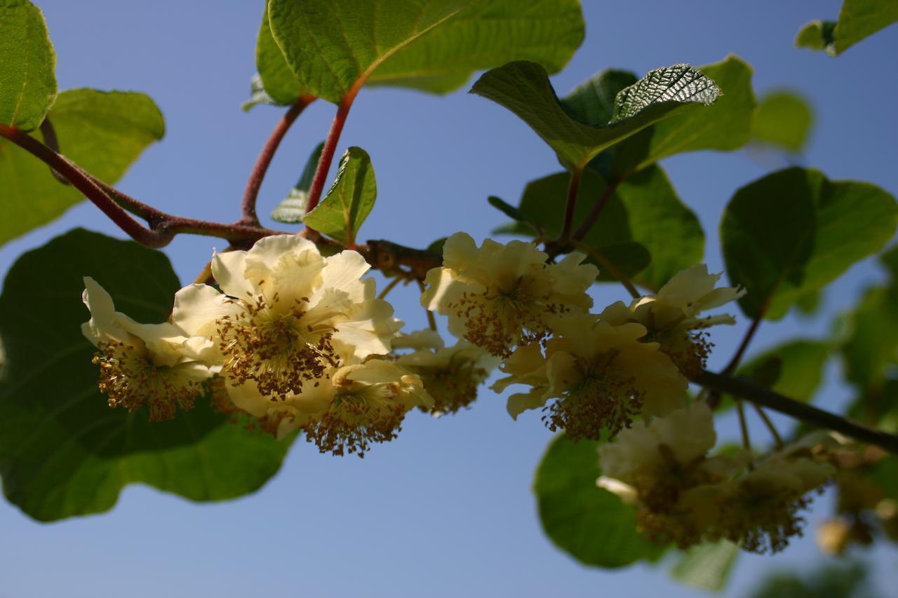 B&B Aan De Burgt Boekel 外观 照片