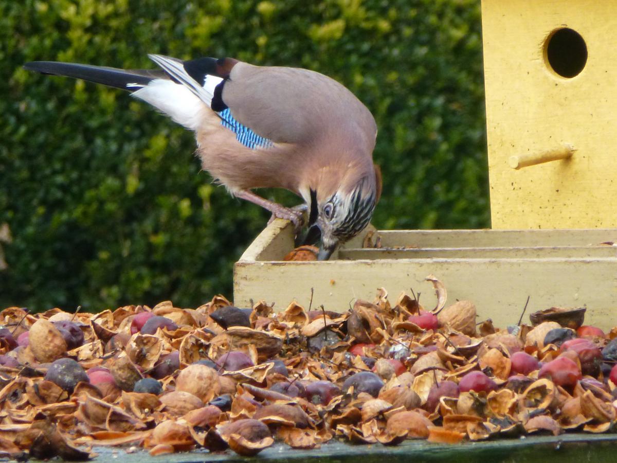 B&B Aan De Burgt Boekel 外观 照片